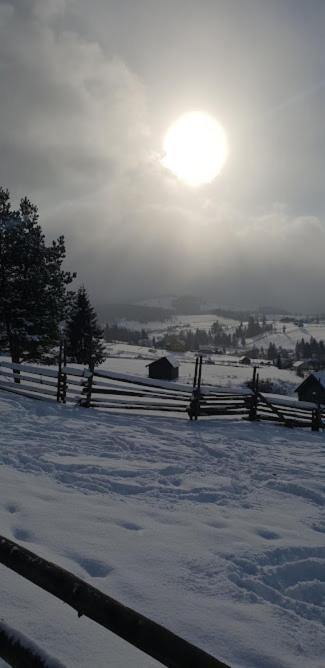 Pensiunea La Bella Vista Poiana Negrii Exterior foto
